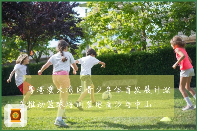 粤港澳大湾区青少年体育发展计划推动篮球培训落地南沙与中山